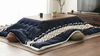 kotatsu-hideki